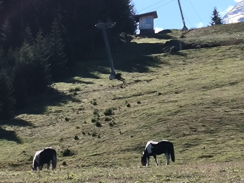 格鲁班霍夫宾馆主图
