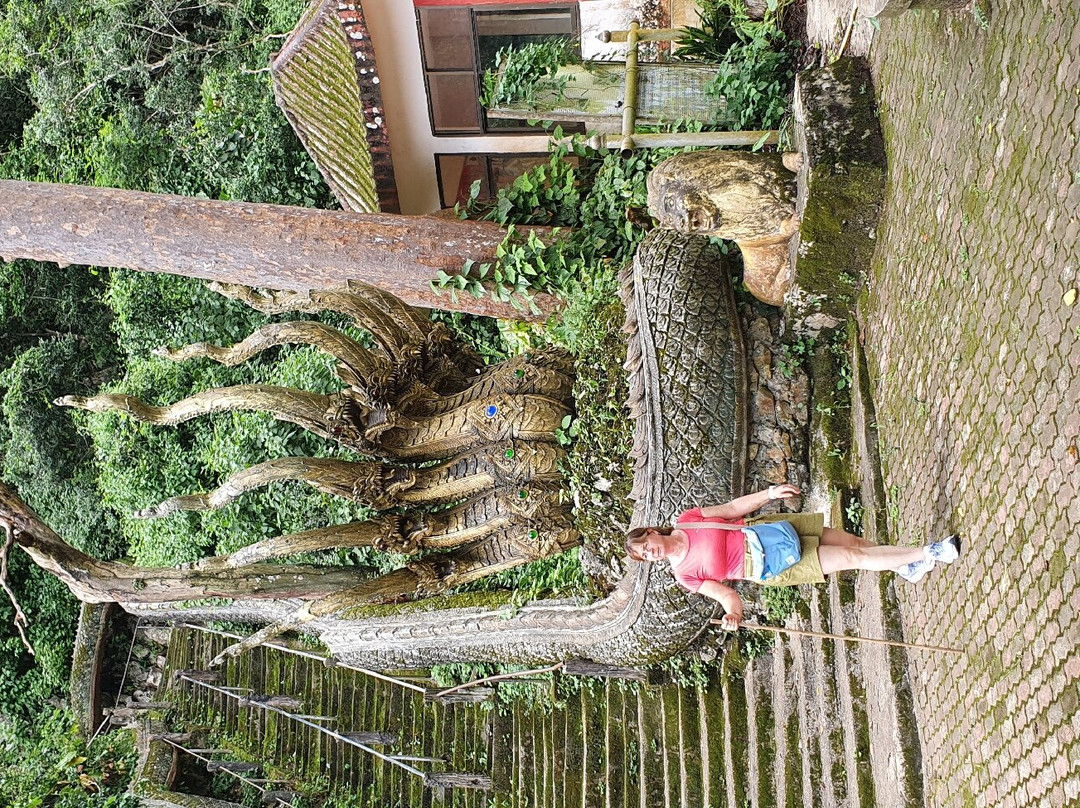 Wat Tham Pla (Fish Cave Temple)-美塞必去景点