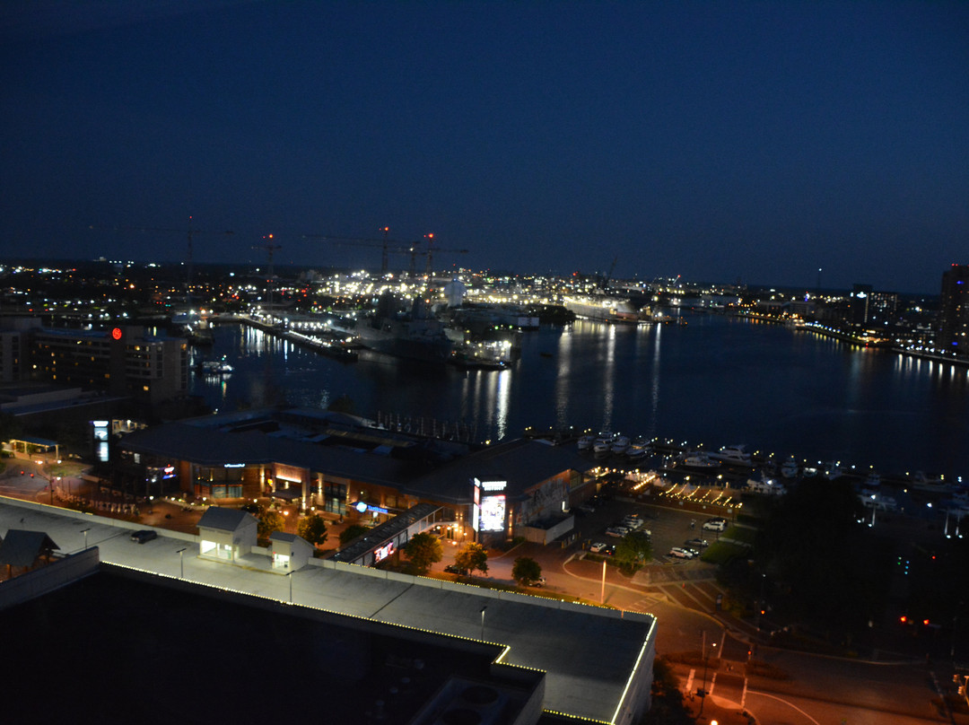 Hilton Norfolk The Main主图