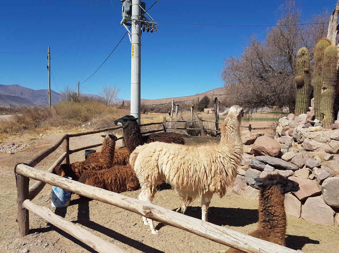 Arte Guanuco-塔夫拉达·德乌玛瓦卡必去景点