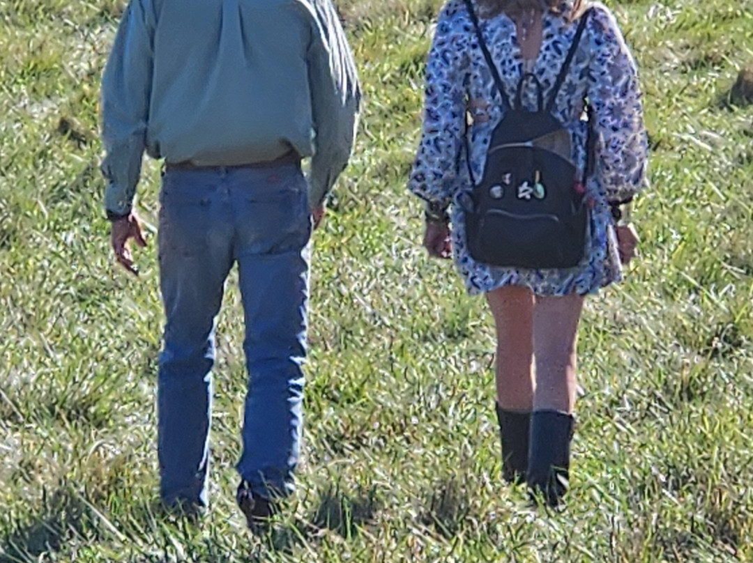 Barn Sanctuary-Chelsea必去景点