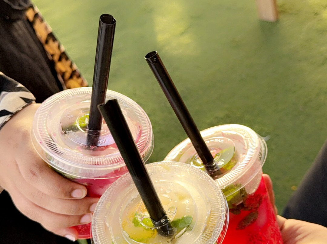 Dubai Adventure Holiday-迪拜必去景点