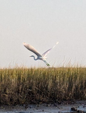Ocean Isle Fishing Center-Ocean Isle Beach必去景点