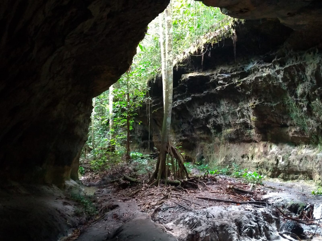 Cachoeira de Iracema-Presidente Figueiredo必去景点