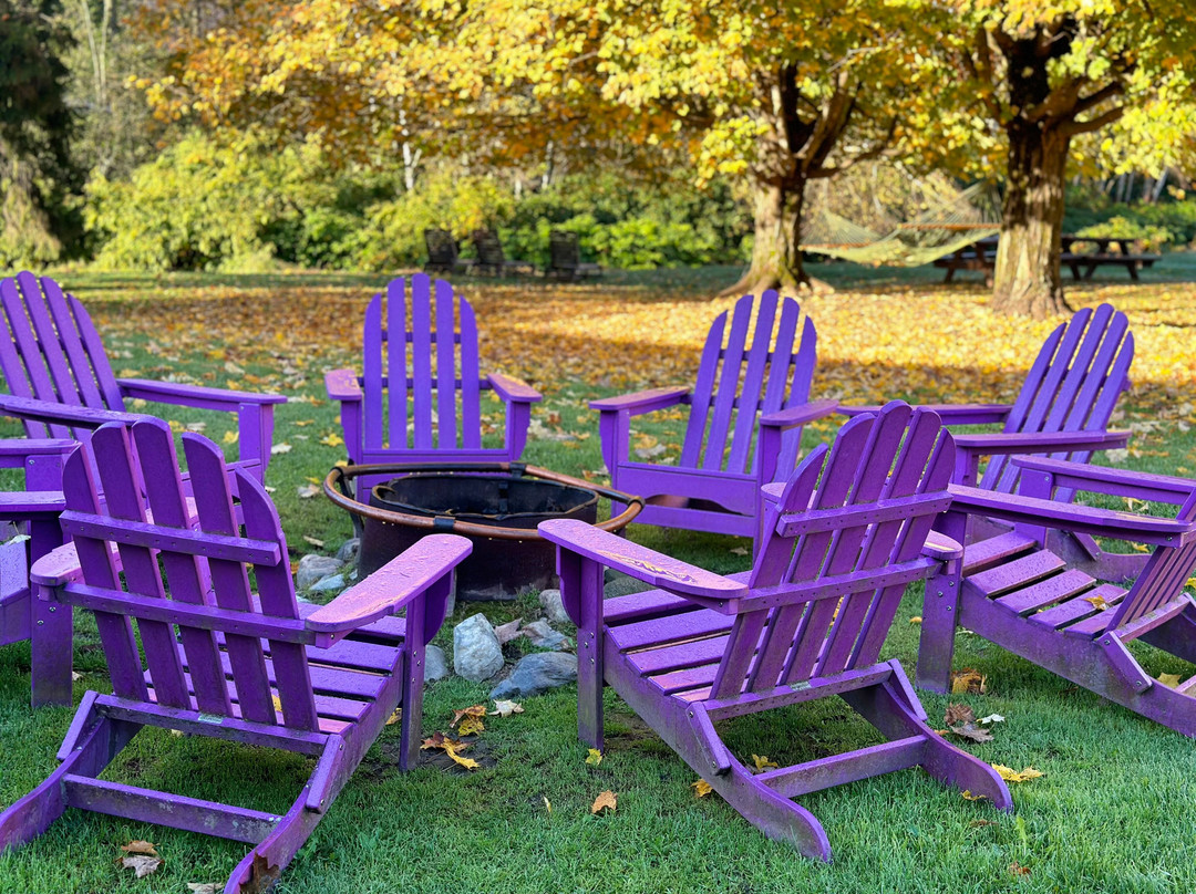 Sun & Ski Inn And Suites主图