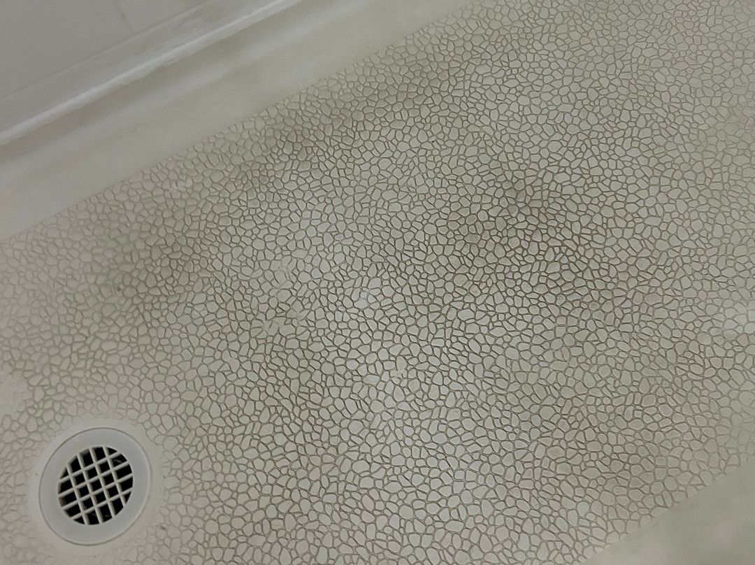 La Quinta Inn & Suites by Wyndham Lackawanna主图