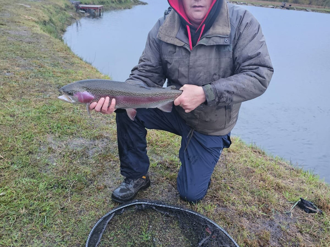Birchwood Fishery-Drumquin必去景点