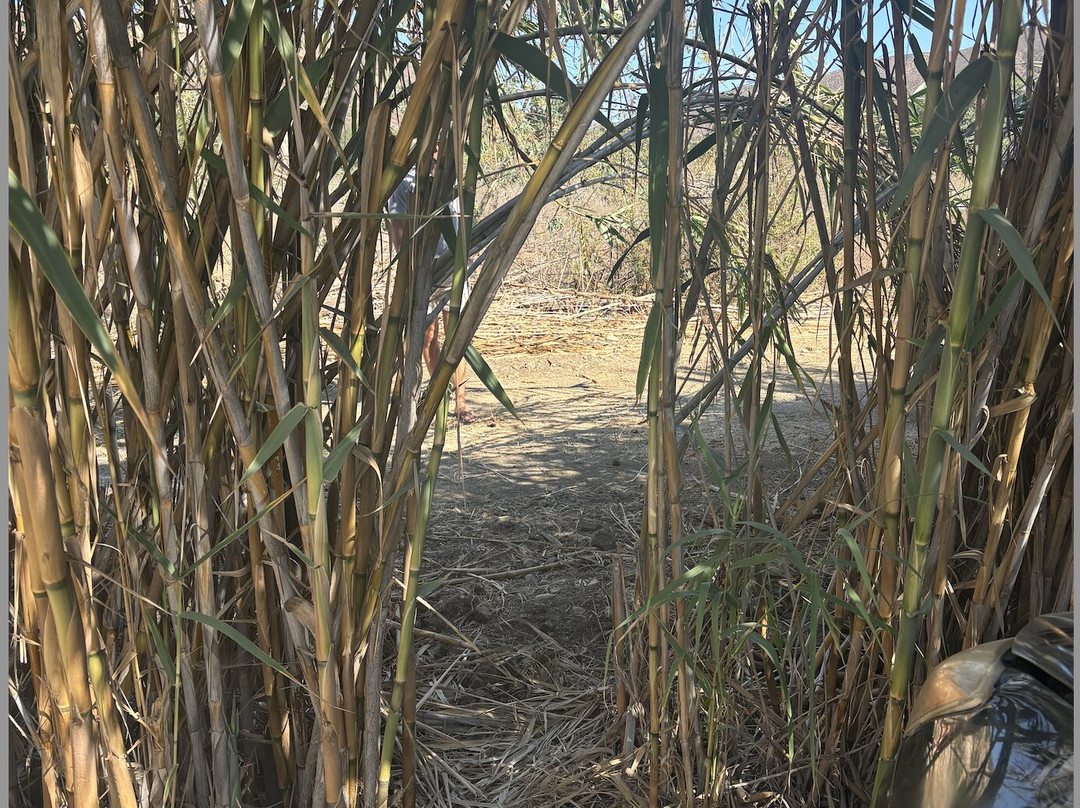 Hotel Cuatro Cuatros主图