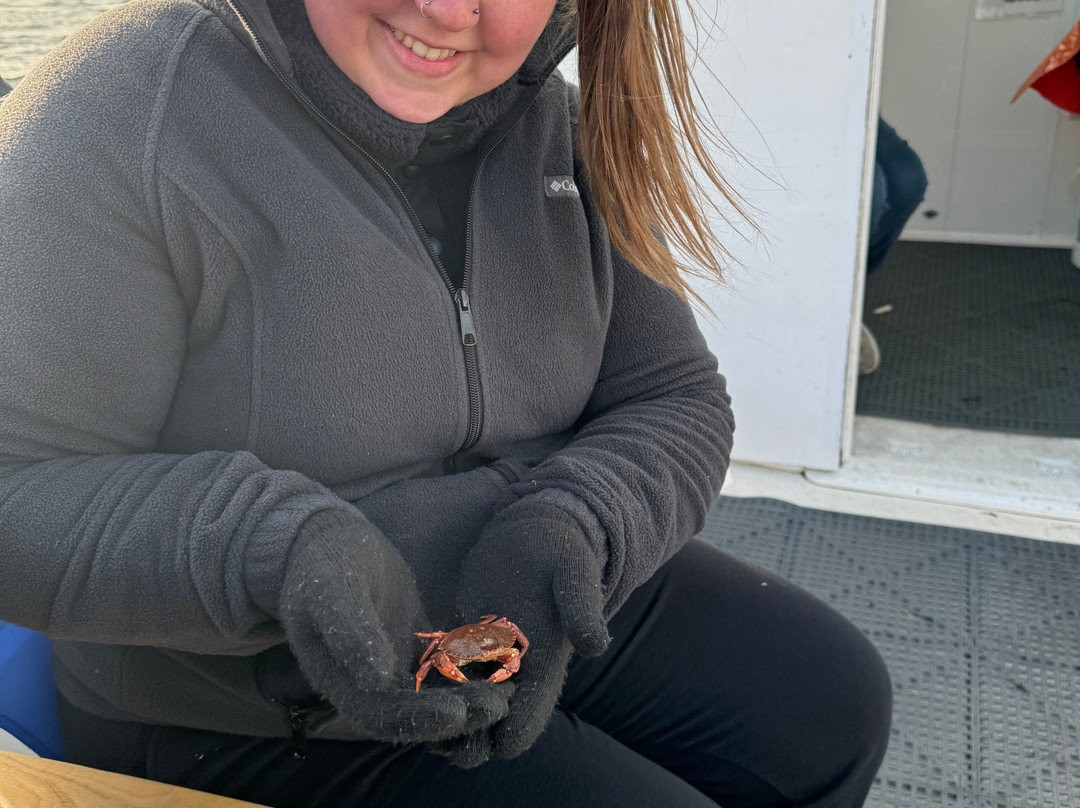 Casco Bay Adventures-南波特兰必去景点