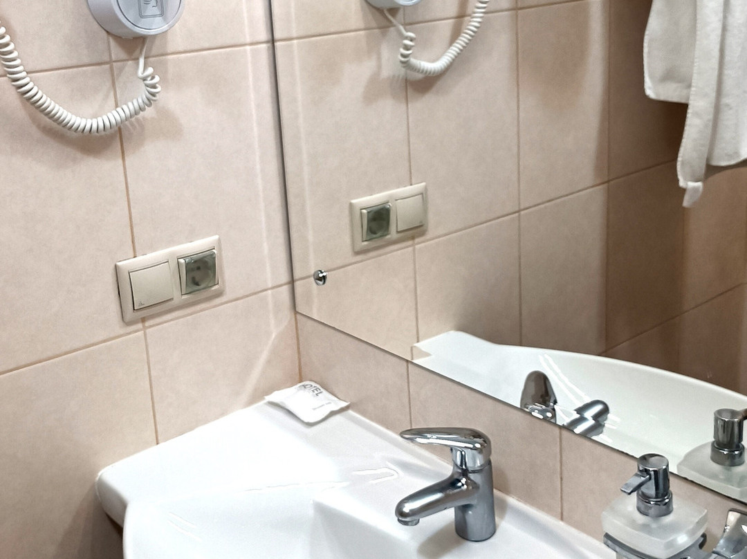 弗拉基米尔酒店主图