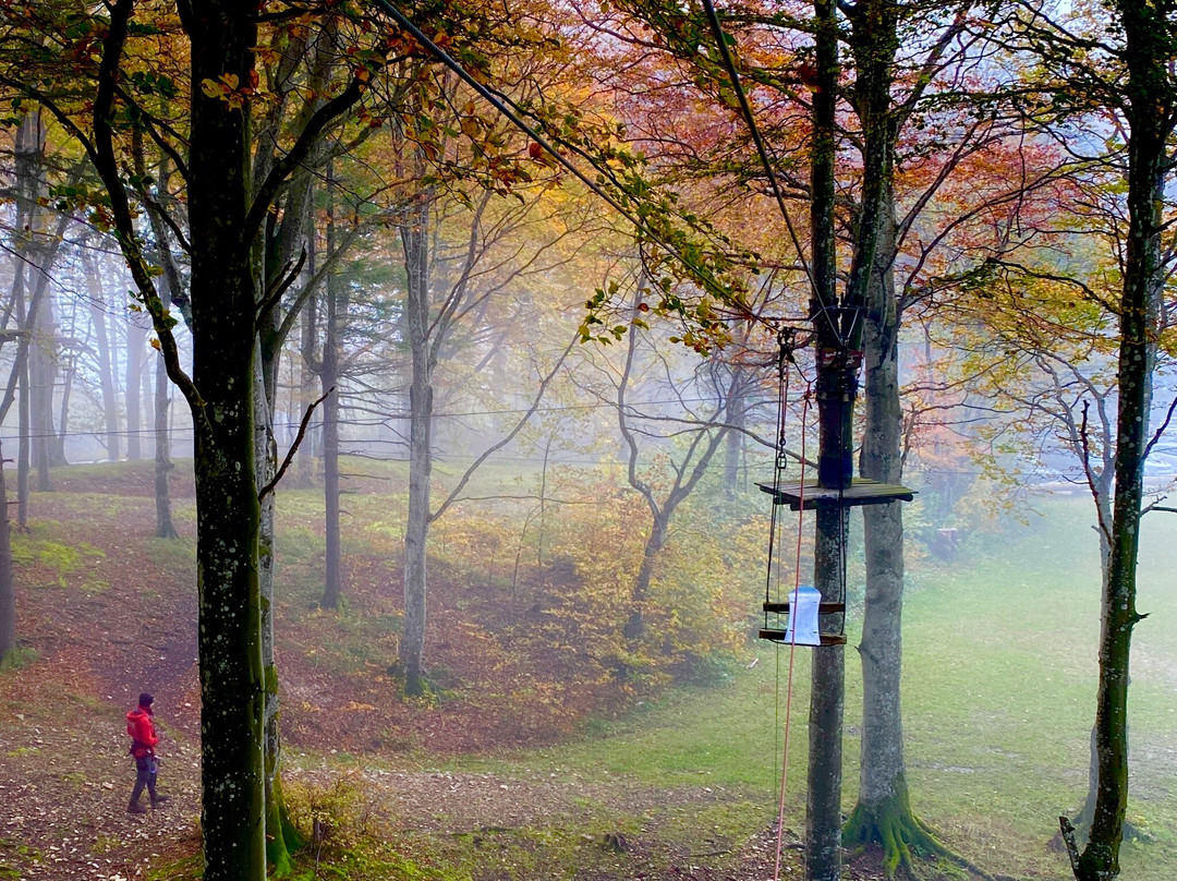 Seilpark Balmberg-Balmberg必去景点