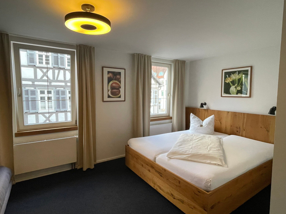 Stadthotel Waldhorn主图