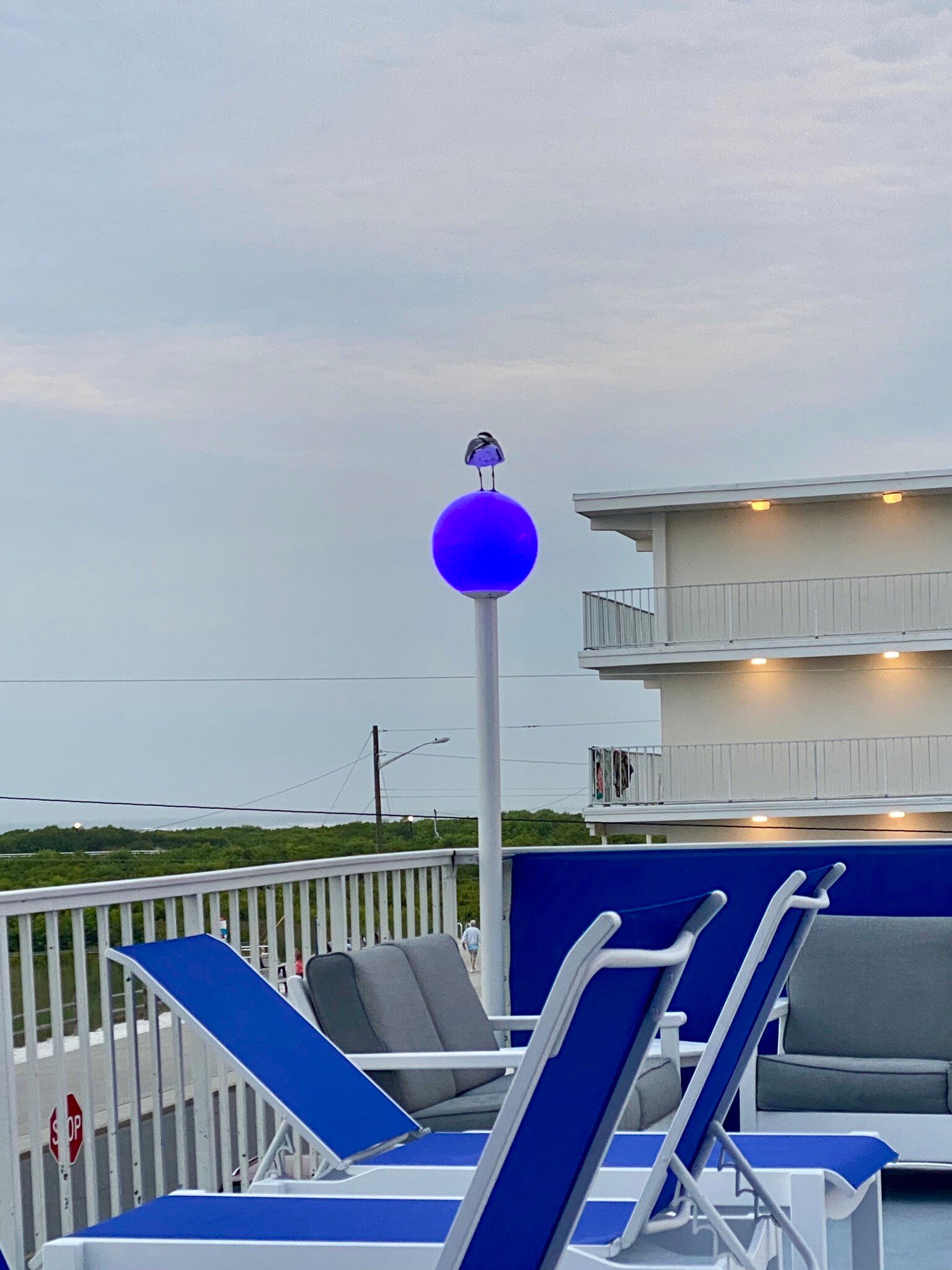 Adventurer Oceanfront Inn-官方