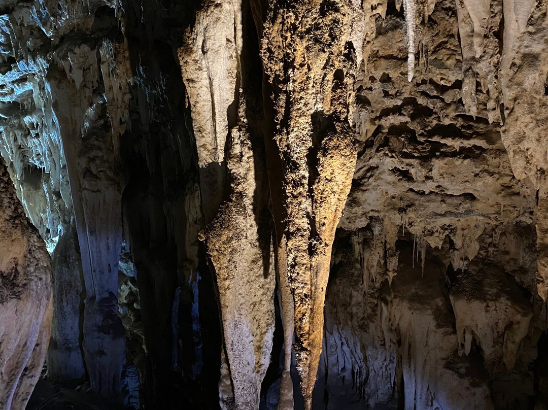 Wondercave景点图片
