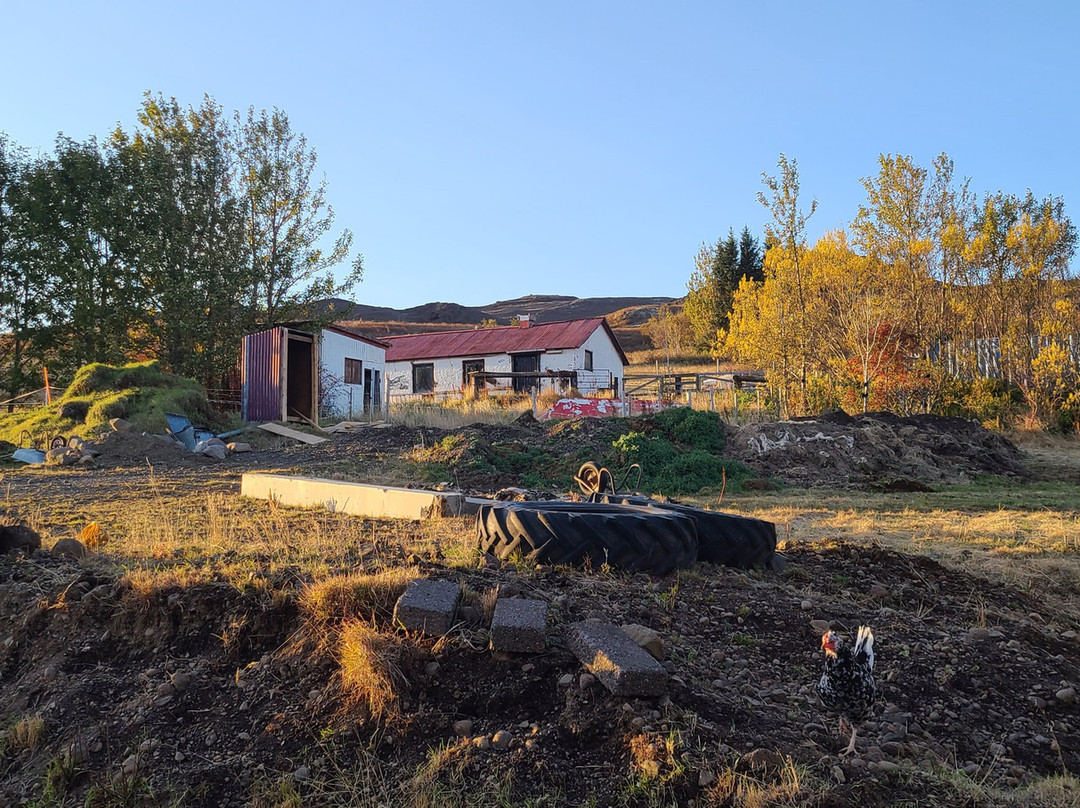 Minna-Mosfell Guesthouse主图