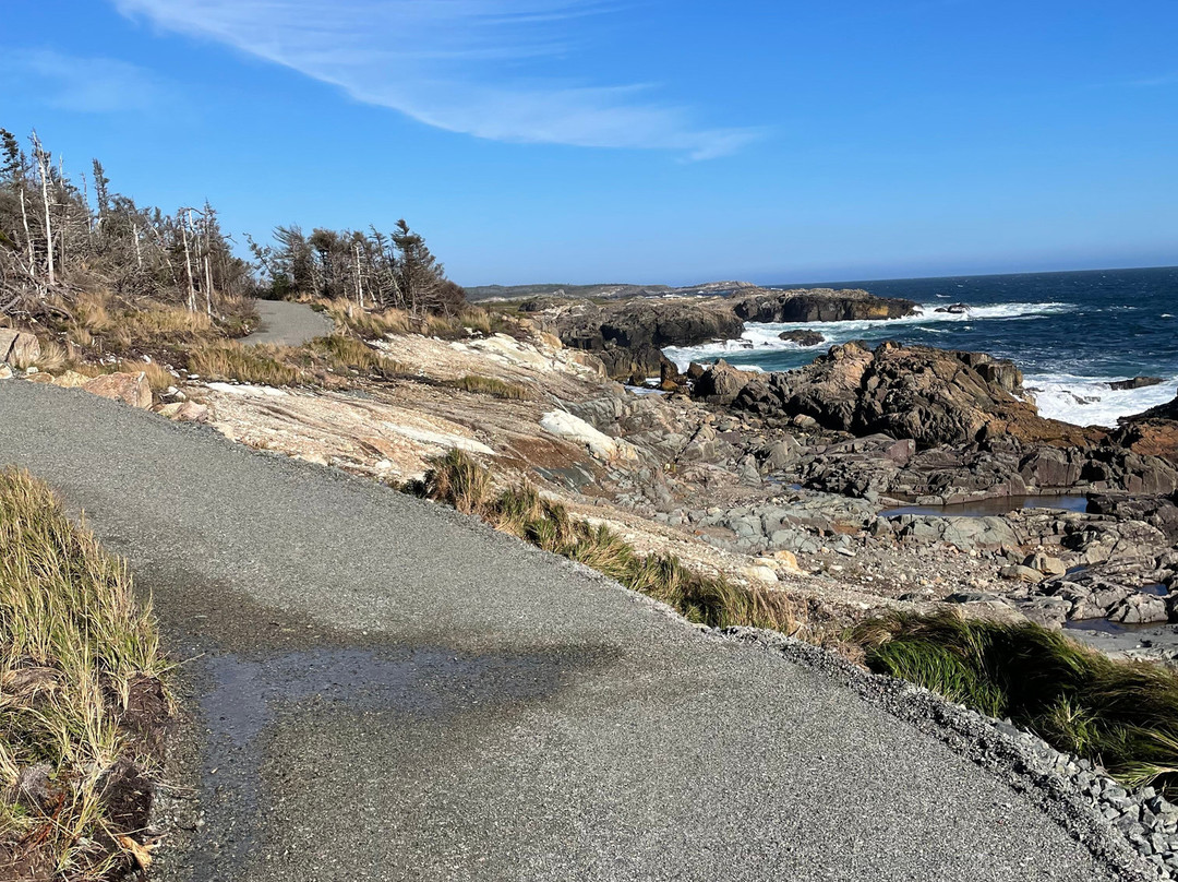 Louisbourg Lighthouse Coastal Trail景点图片