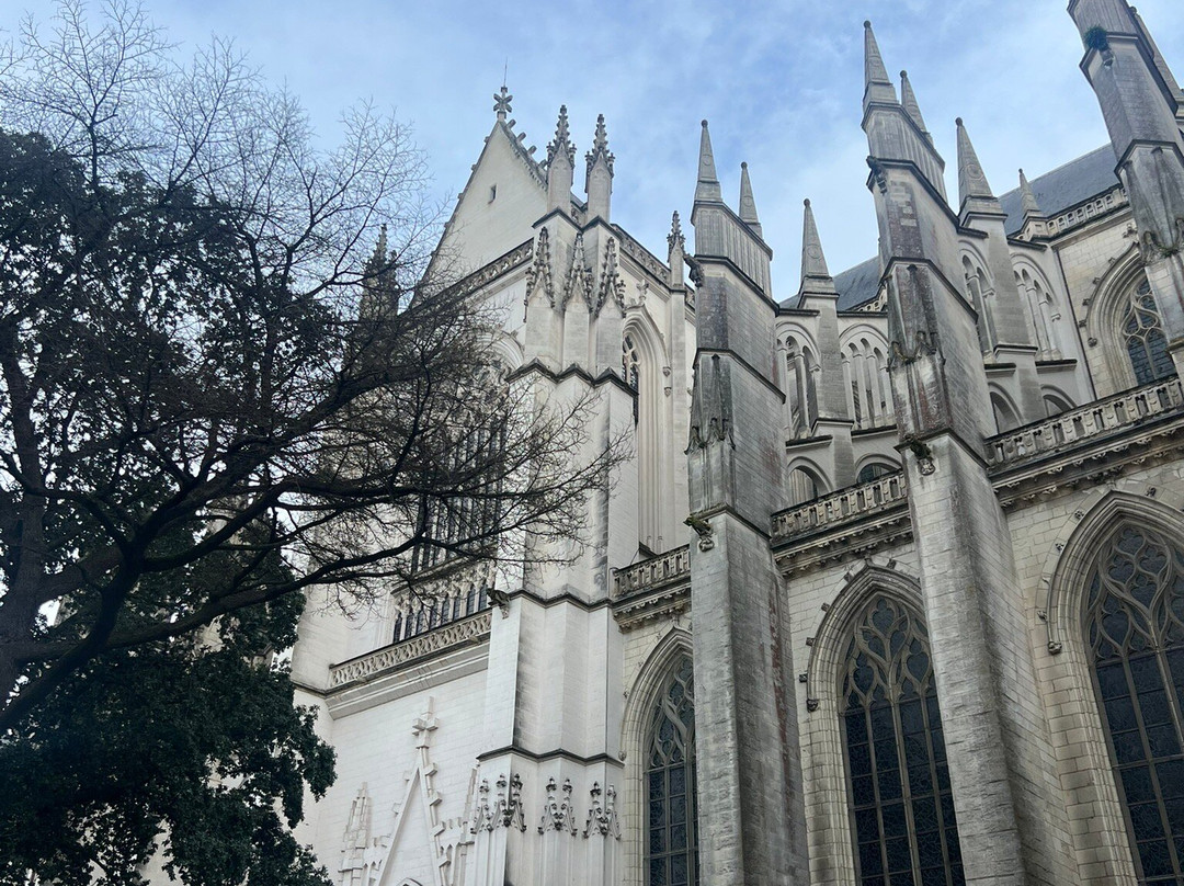 Basilique Saint Nicolas景点图片