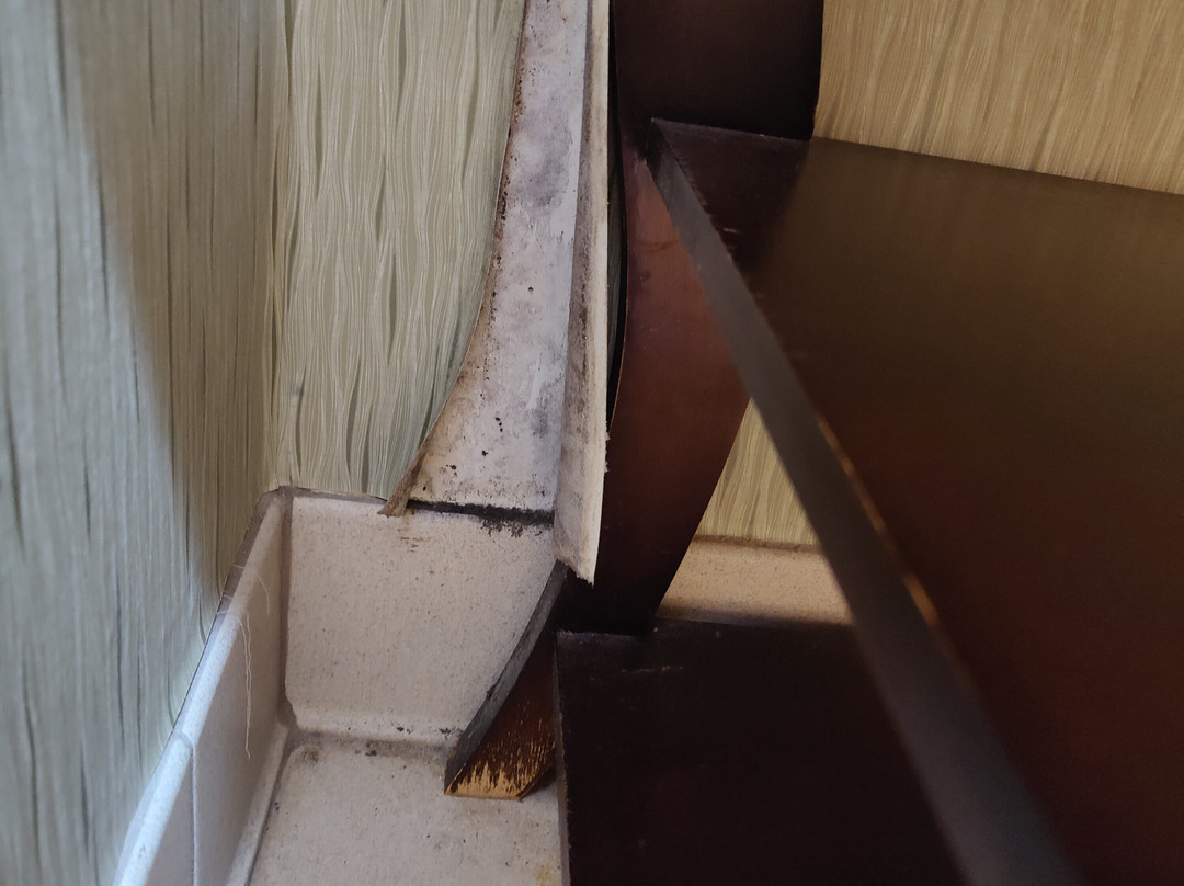 Hampton Inn Hinesville主图