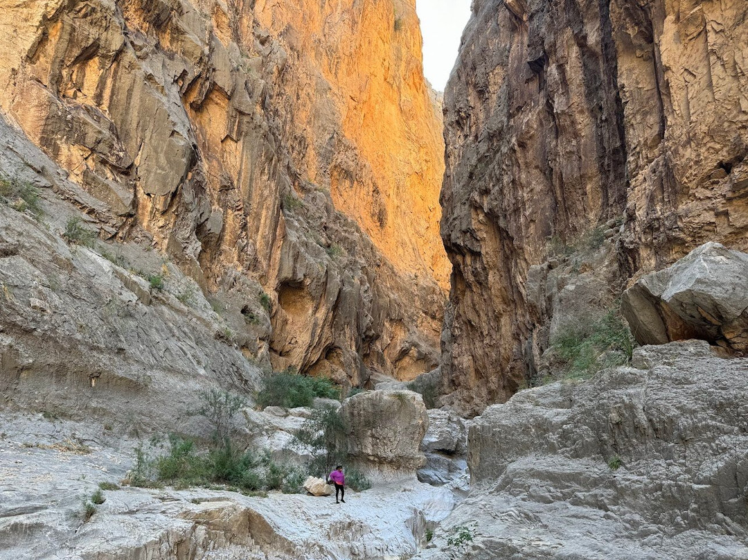 Big Bend River Tours-Terlingua必去景点