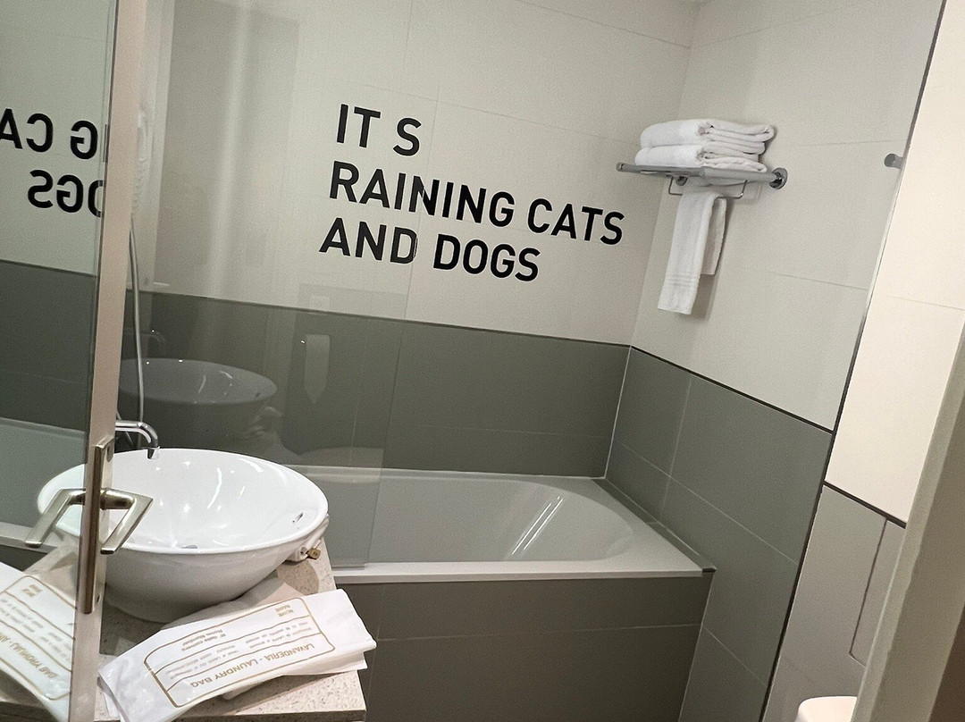 戛纳大学中心酒店主图