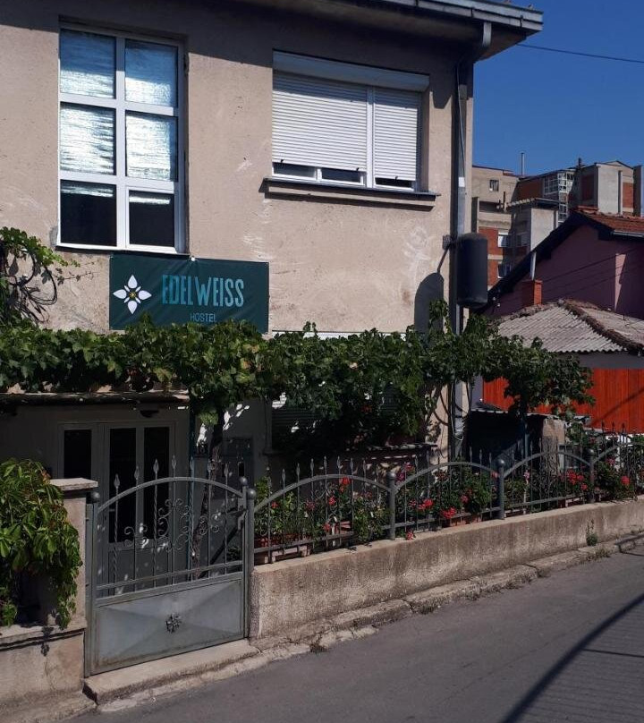 Edelweiss Hostel