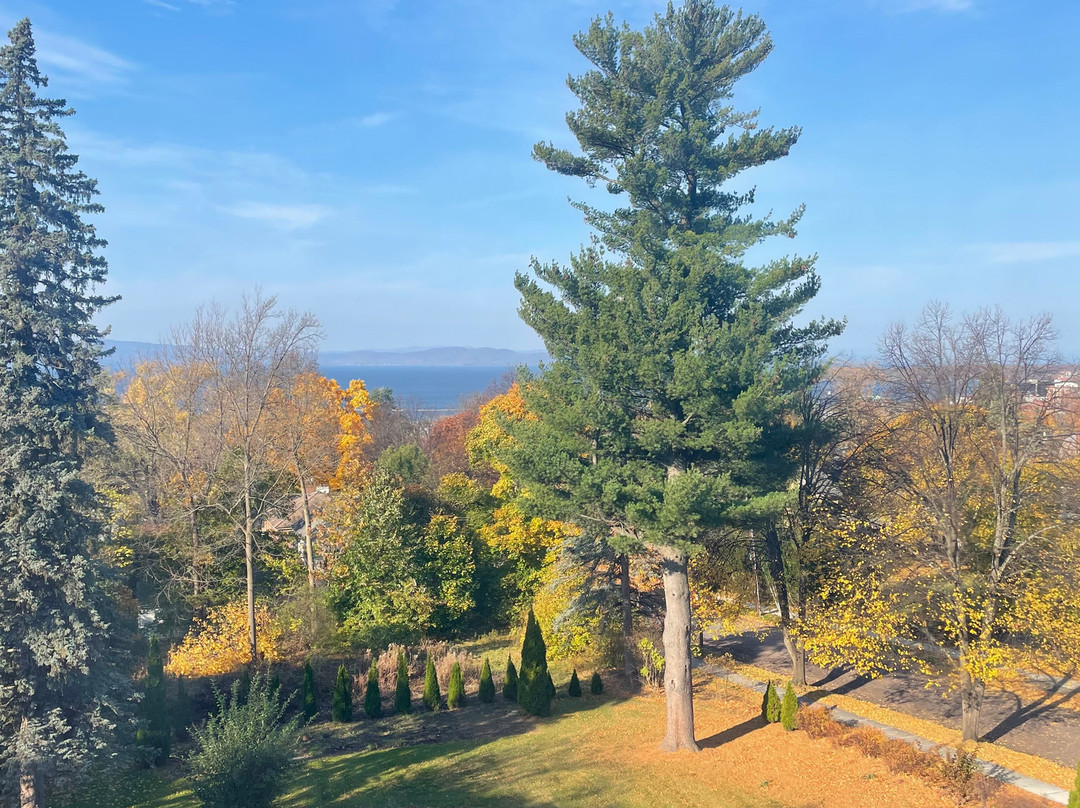 Blind Tiger Burlington主图