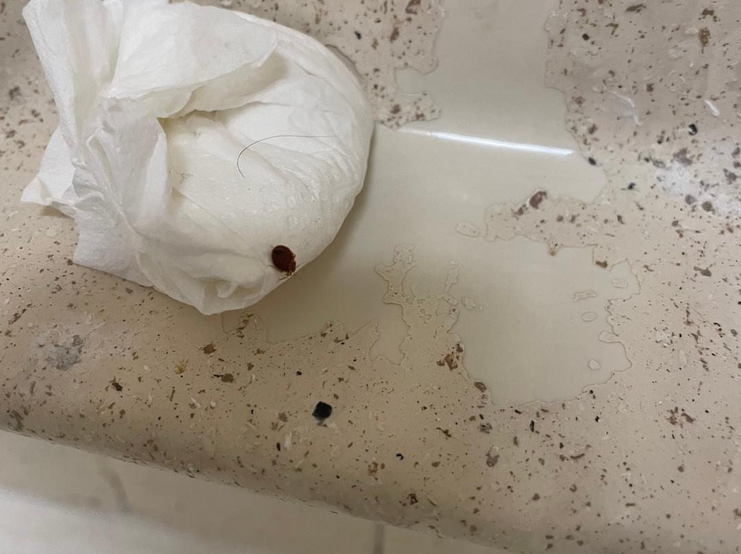 Extended Stay America - Columbus - Tuttle主图