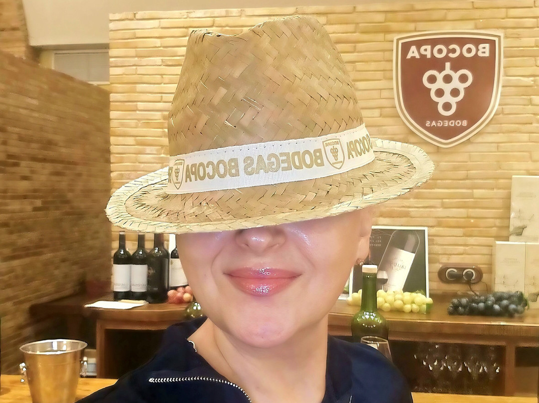 Bodegas Bocopa-阿利坎特省必去景点