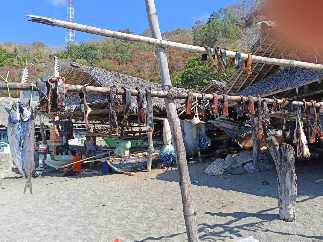 Lamalera Village景点图片