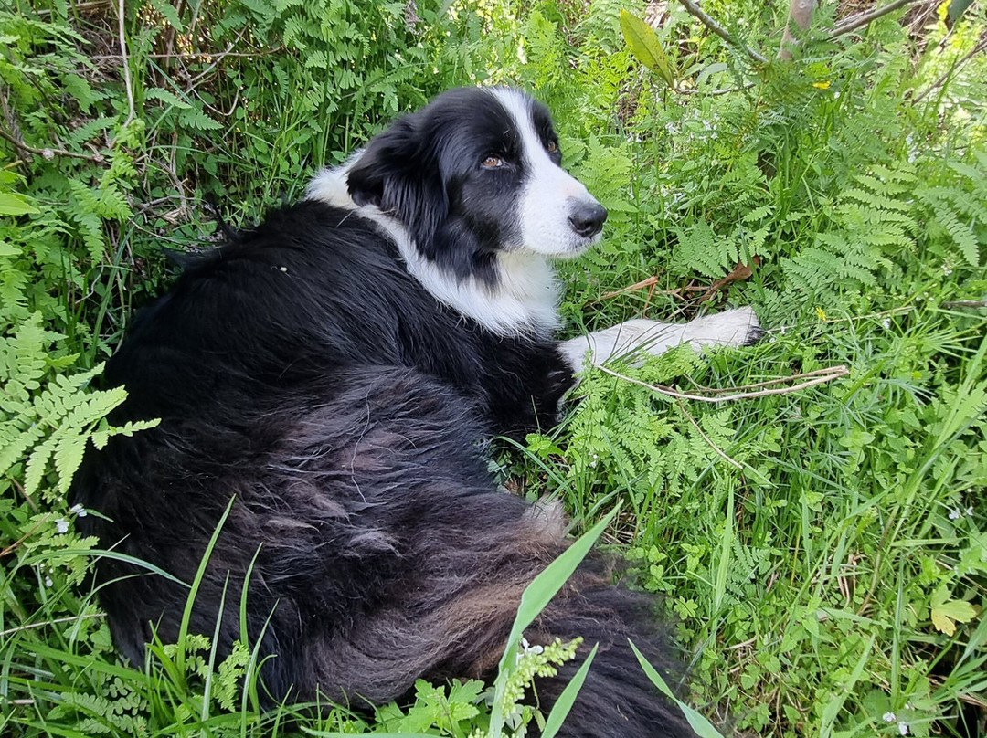 Fynbos Trail-干斯拜必去景点