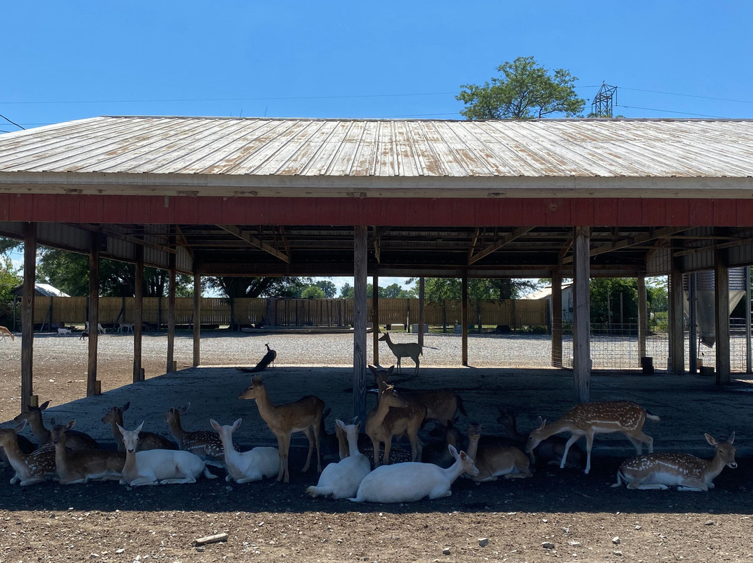 Lagoon Deer Park-桑达斯基必去景点