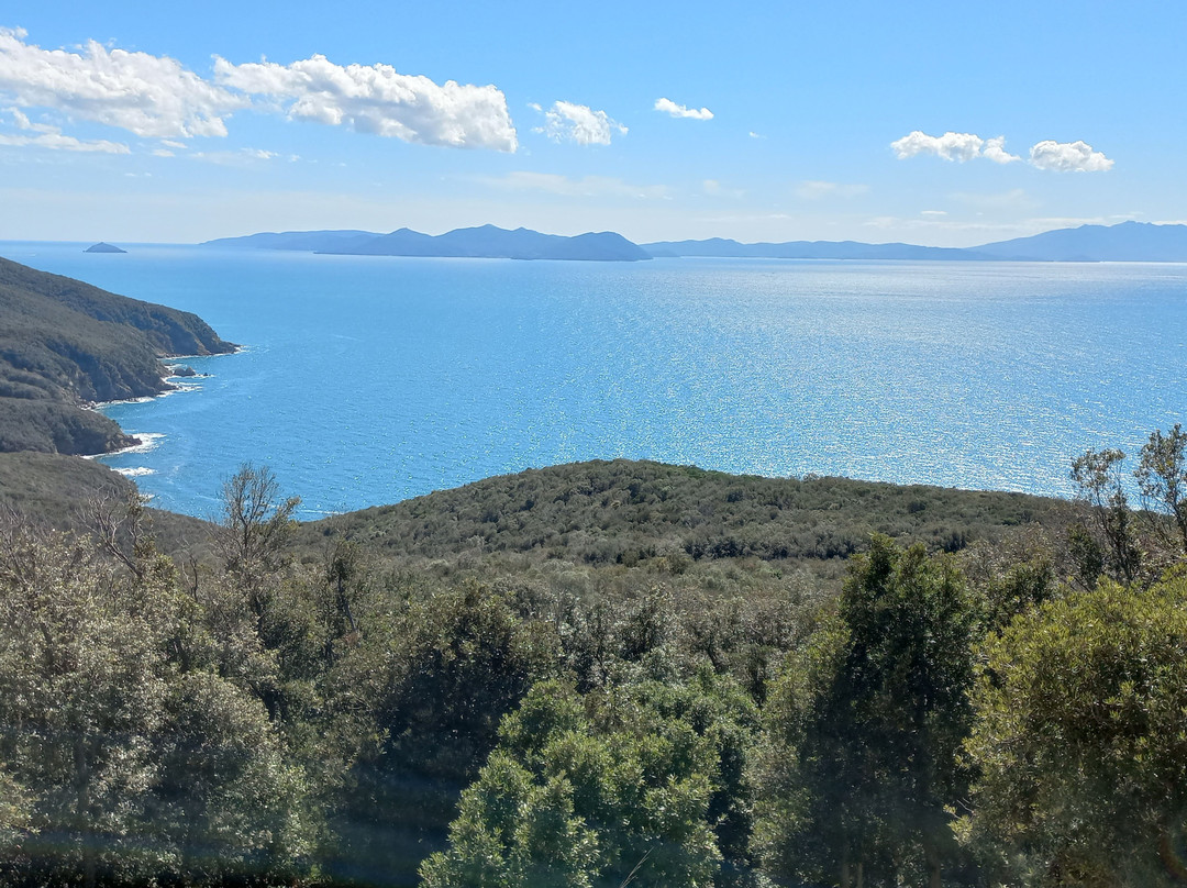 Baratti and Populonia Archeological Park景点图片
