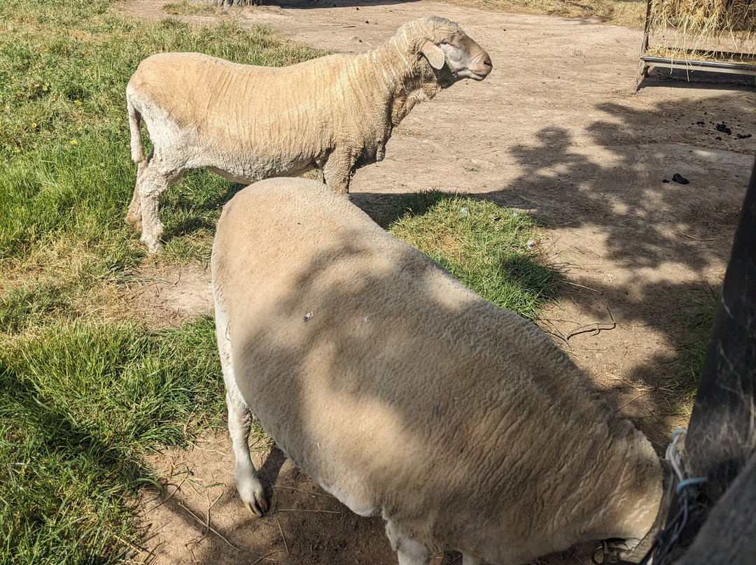 Edgar's Mission-Lancefield必去景点