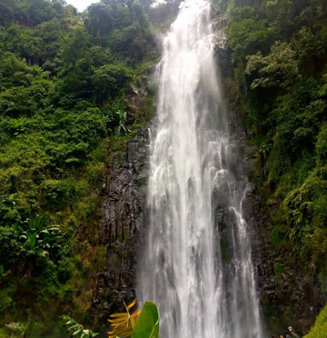 Tanzania Songbirds Safaris-阿鲁沙必去景点