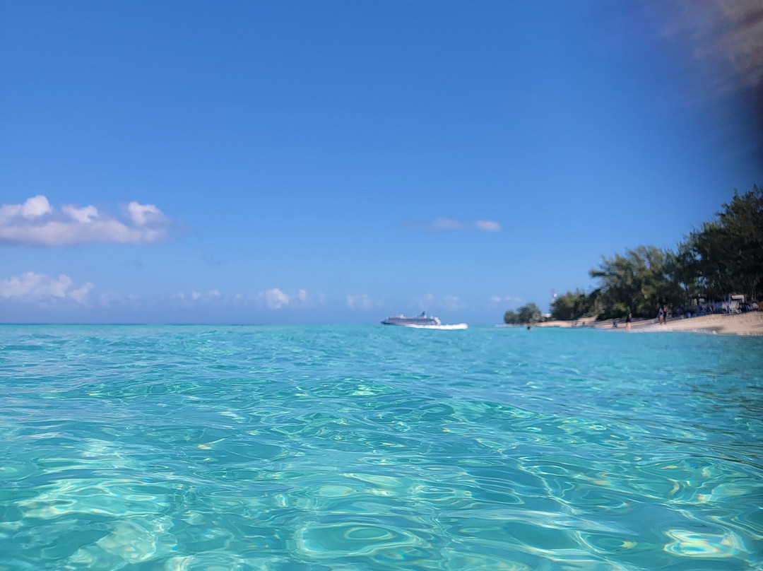 Radio Beach-Alice Town必去景点