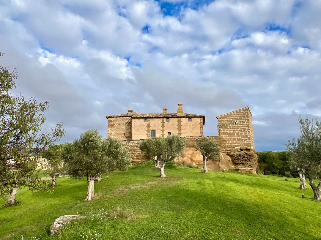 Castillo de Corvinos主图