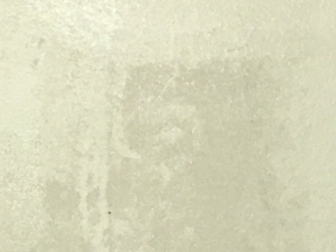 Quality Inn & Suites主图