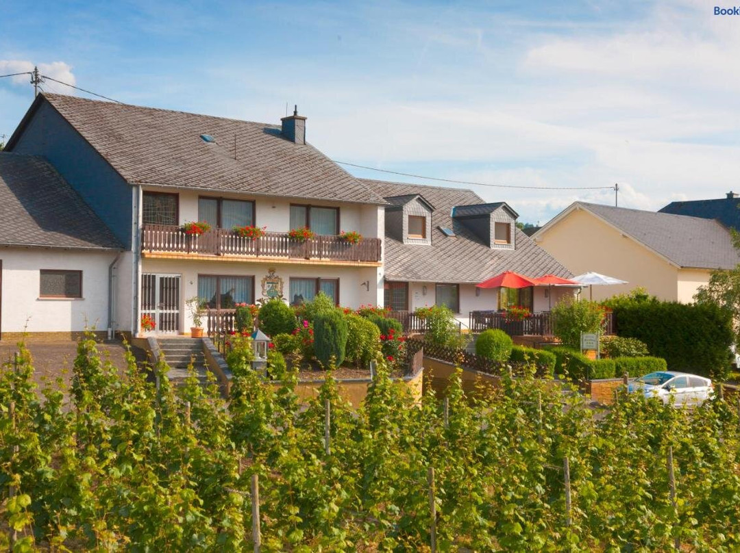 Brauneberg酒店住宿-Pension Moselblick