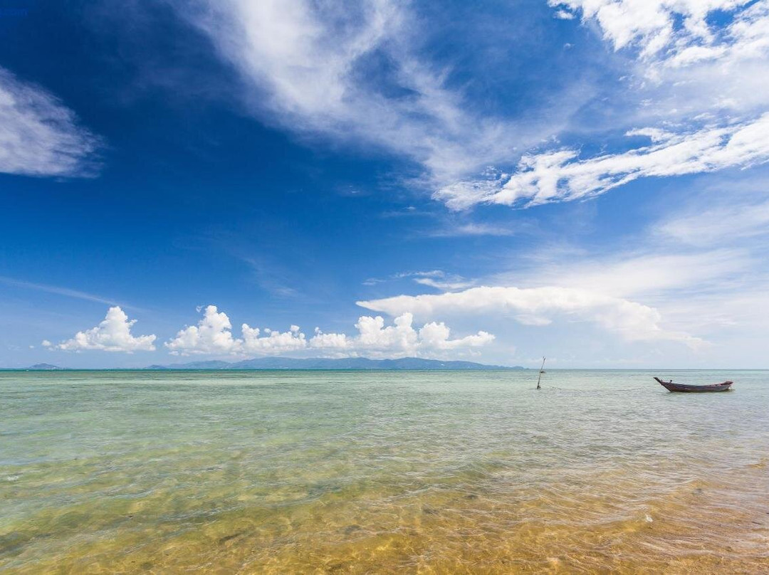 The Cosy Koh Phangan