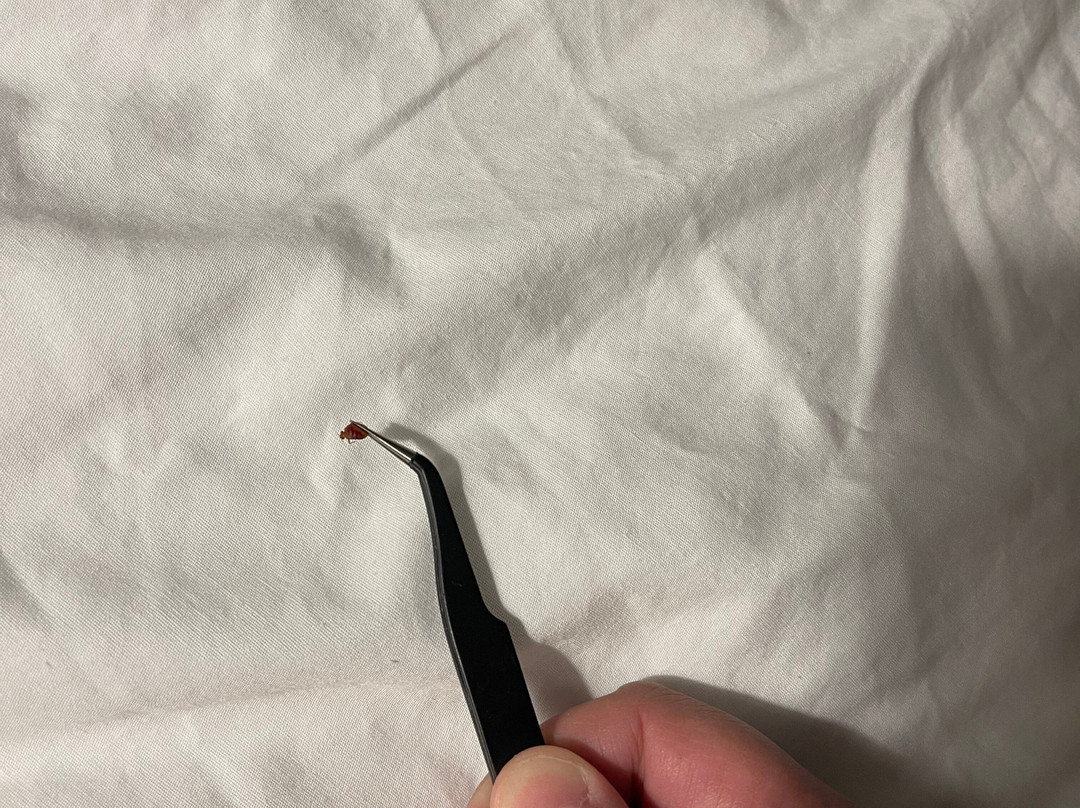 Hampton Inn Atlanta/Fayetteville主图