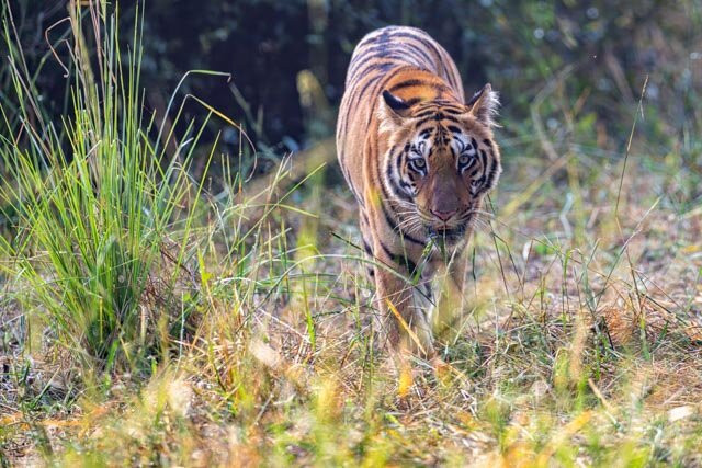 Bajoon酒店住宿-Excellent Stay At Mall