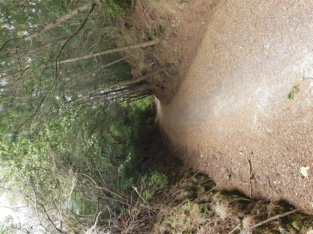 Adventure Bike Hire and Shuttle-Waihi必去景点