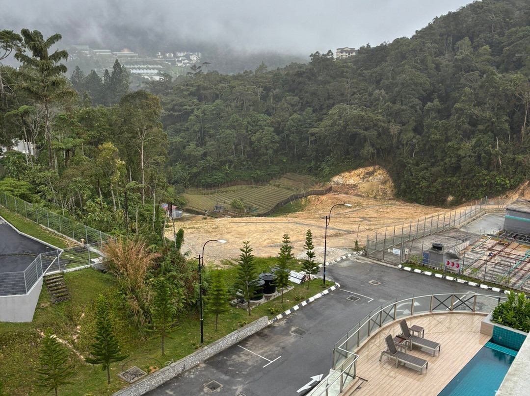 Zenith Hotel Cameron主图