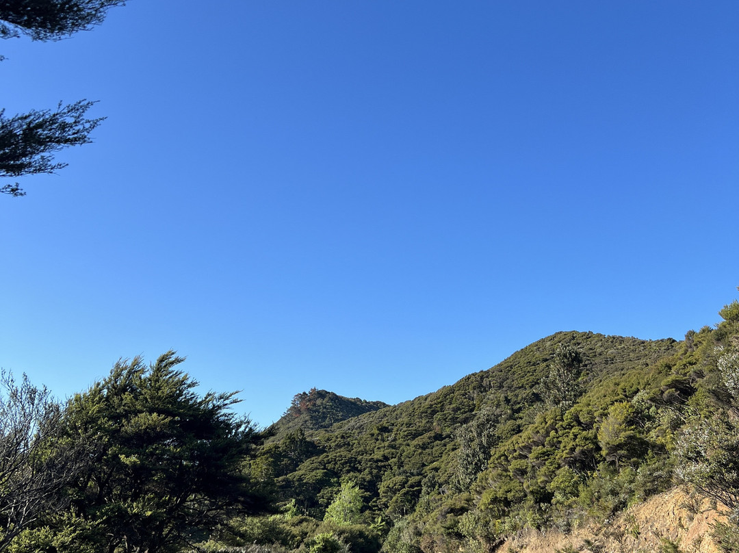 Motubikes景点图片
