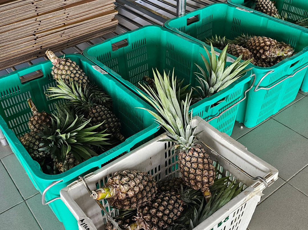 Yun Fook Trading (kolam Ikan)