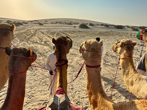 Q-Explorer Tourism-多哈必去景点