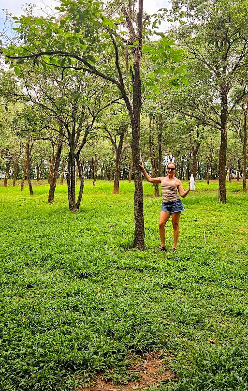 Bosque Municipal Rangel Pietraroia景点图片