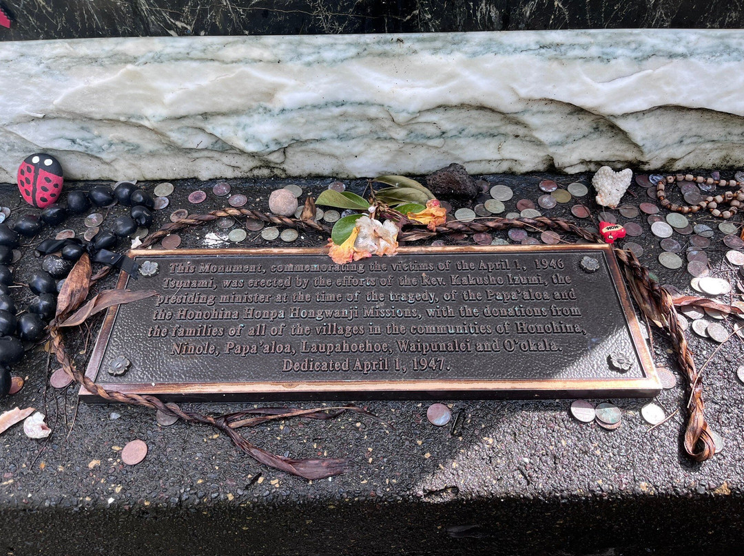 Laupahoehoe Beach Park-劳帕霍也霍也必去景点