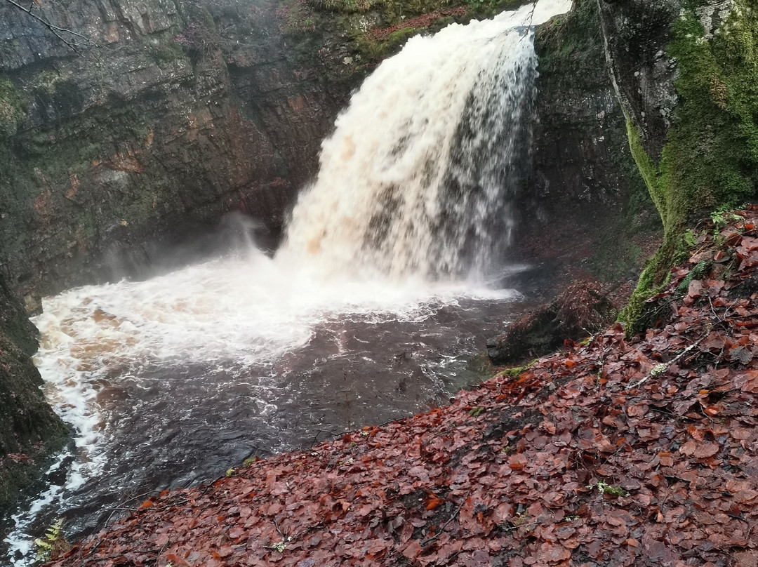 Dalcairney Falls景点图片