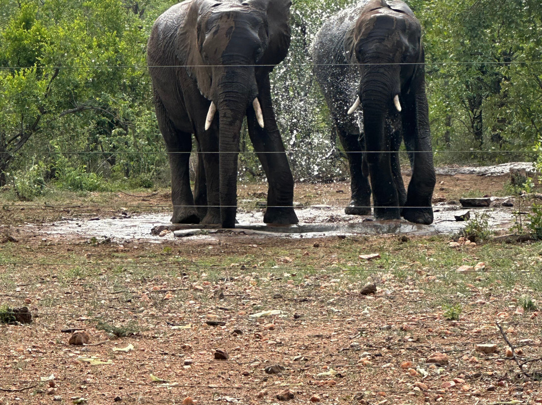 Mutsami Private Bush Lodge主图